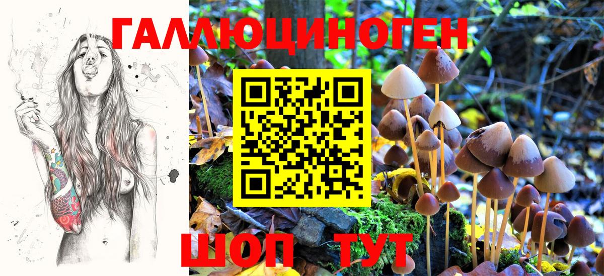 Псилоцибиновые грибы ЛСД Тверь