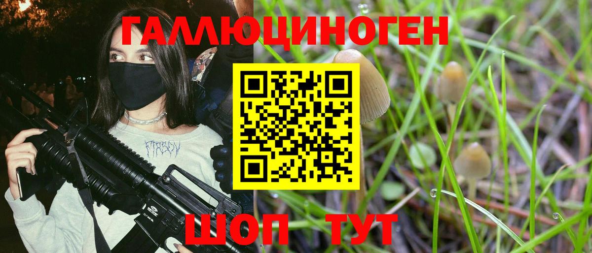 Псилоцибиновые грибы Psilocybe  Вход с VPN  Галлюциногенные грибы Magic Shrooms  Тверь 